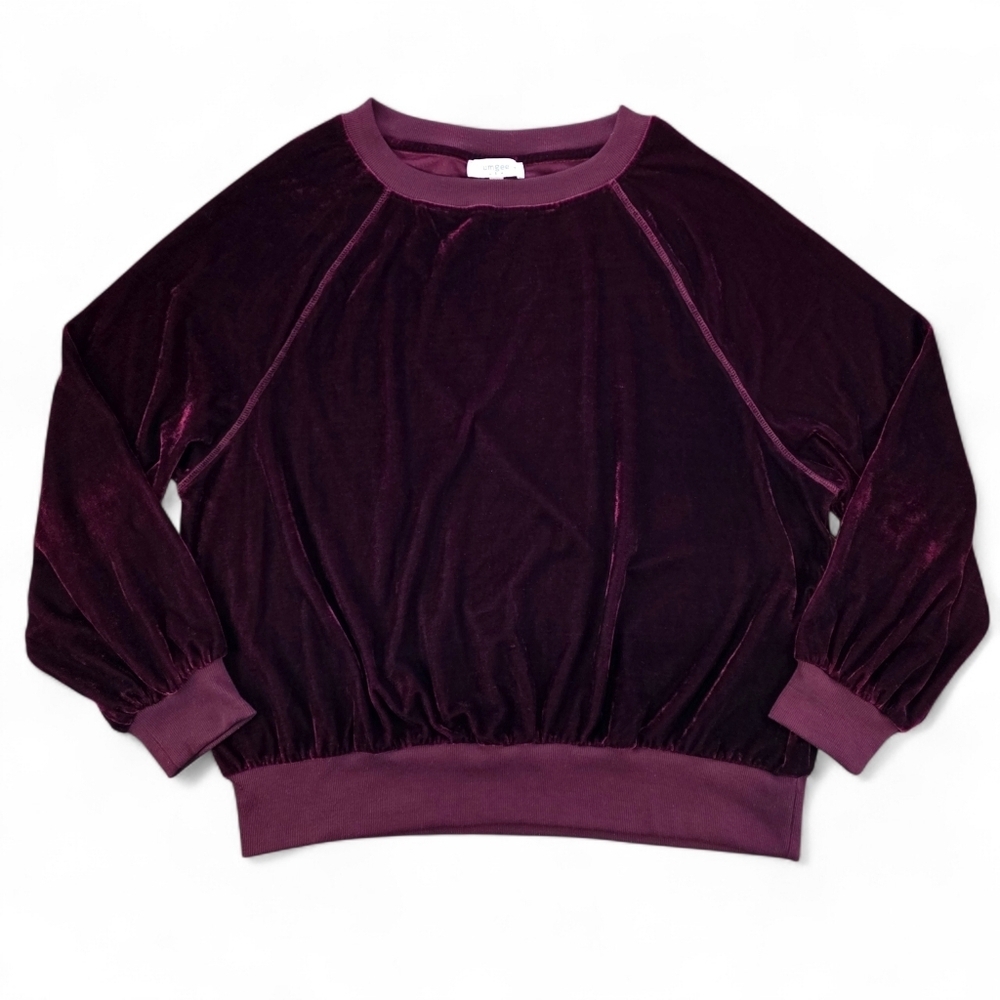 Umgee Plus 2XL Velvet Raglan Sleeve Pullover Sweatshirt Wine Maroon Purple Top